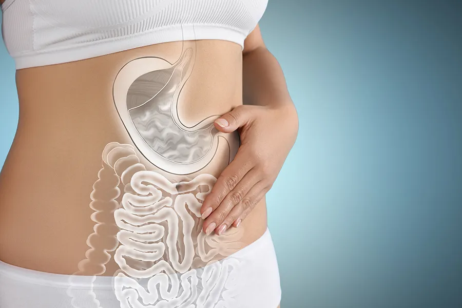 Gut-Health-Doctor Close up of the midriff of a woman with white underwear and an illustration of the digestive system superimposed over the image. Get help for digestive issues and gut health from Regenerative Medical Institute in Greenville.